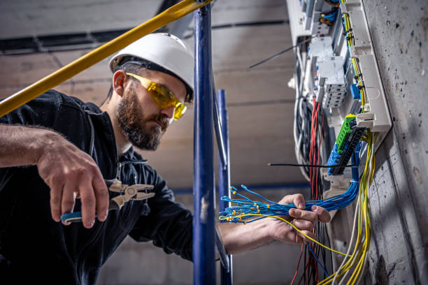 Best Local Electrician Companies  in Springville, IA
