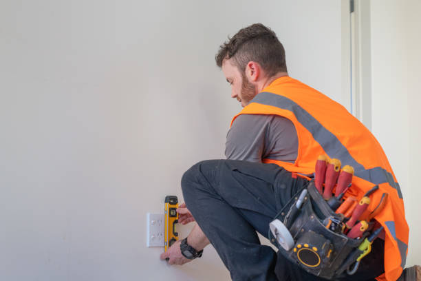 Best Local Electrician Companies  in Springville, IA