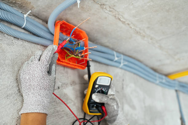 Best 24-Hour Electrician  in Springville, IA